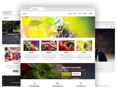 An assortment of easy to re–design site templates